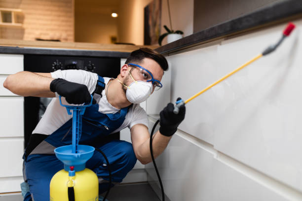 Best Emergency Pest Control  in Cartersville, GA