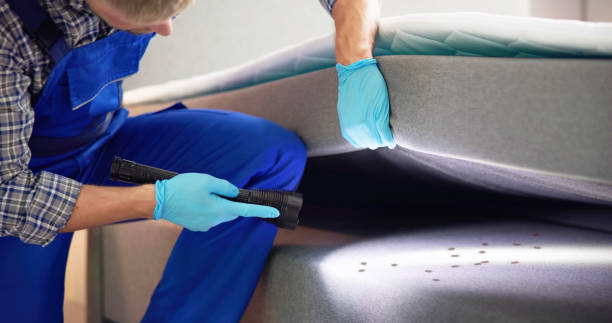 Best Pest Control Near Me  in Cartersville, GA