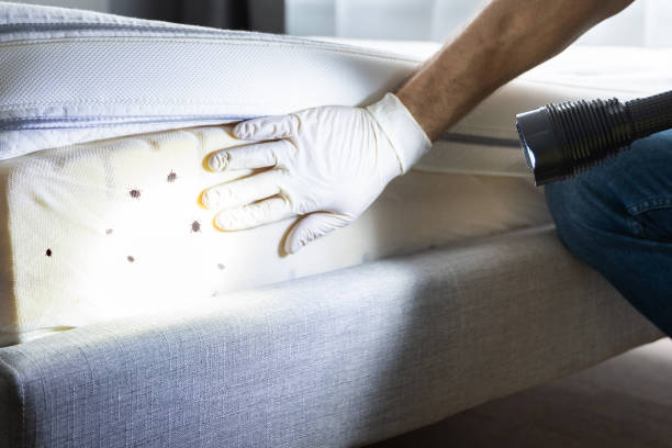 Best Residential Pest Control  in Cartersville, GA