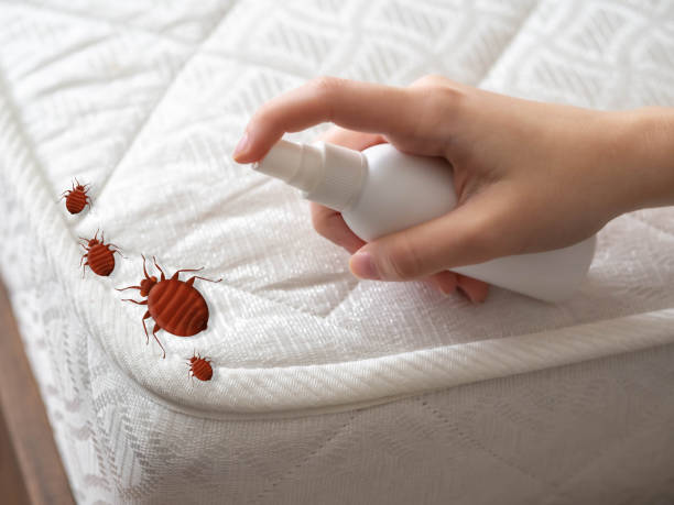 Best Best Pest Control Companies  in Cartersville, GA