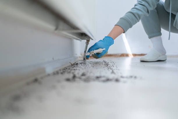 Best Termite Control Services  in Cartersville, GA